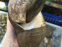 -欢乐海岸美食联盟