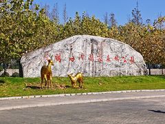 -上海海湾国家森林公园