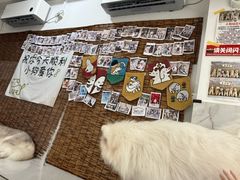 -星多哈·狗咖·拼豆·咖啡