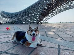 -南汇嘴观海公园