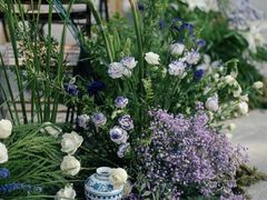 -西安华清御汤酒店