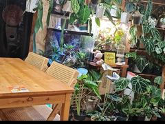 -Rabbit Cafe私房西餐甜点咖啡(栖霞路店)