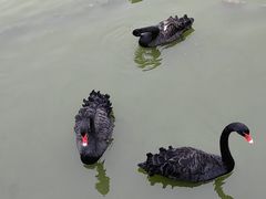 -无锡动物园·太湖欢乐园