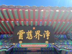 -香山公园