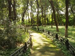 -大兴滨河森林公园