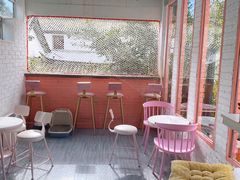 -喵屿·大理花园猫咖