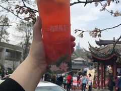 -鸡鸣赐茶(鸡鸣寺路店)