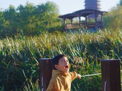-永定河休闲森林公园