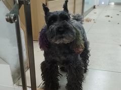 -宠福鑫康馨动物医院·骨科·眼科