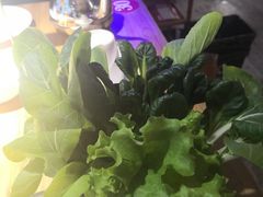 有机蔬菜-捞围鲜·港式打边炉(海阳路店)