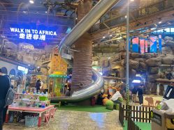 -卡通尼·Safari非洲探索乐园·生日会(金桥国际商业广场店)