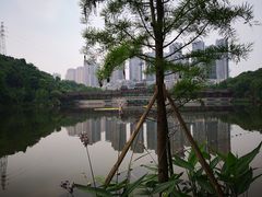 -重庆彩云湖湿地公园