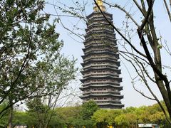 -红梅公园