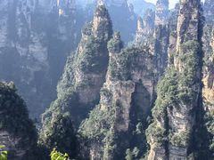 -印象鲵宴·张家界地标美食名片(溪布街店)