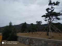 -珞珈山-售票处