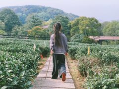 -中国茶叶博物馆(双峰馆区)