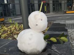 -大兴滨河森林公园