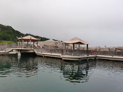 -广东惠东海龟国家级自然保护区