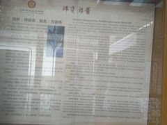 -少林功夫文化中心·独门独院