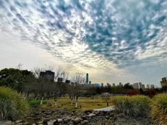 -白塘生态植物园