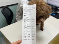 -中农大我爱我爱动物医院·核磁CT·猫病·24小时夜诊中心(石佛营店)