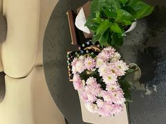 -中粮·祥云小镇