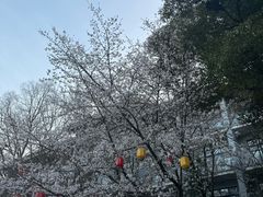 -天目湖御水温泉·度假酒店