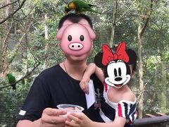 -新加坡飞禽公园