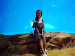 -华夏文旅海洋公园