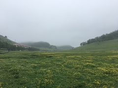 -关山草原