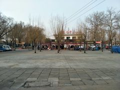 -北戴河集发农业梦想王国