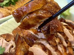 -陆记鹅庄·潮汕菜·狮头鹅(大仟里店)