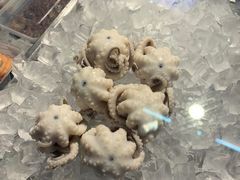 -铭聚章鱼土笋冻(松柏店)