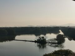 -大湾区中央湿地公园
