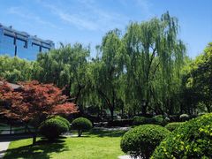 -唐城墙遗址公园