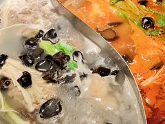 -辣伍鲜毛肚老火锅(元一店)