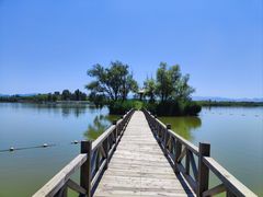 -野鸭湖国家湿地公园
