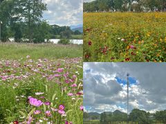 -东钱湖旅游度假区