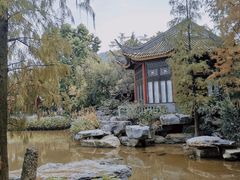 -顺峰山公园