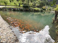 -楠溪江风景名胜区