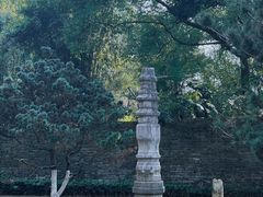 -红梅公园