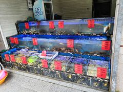 水产区-金海湾海鲜排档(朱家尖店)