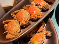 -牛New寿喜烧(中山公园龙之梦店)