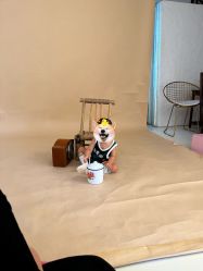 -小猴子儿童摄影馆(茂业店)