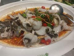 -悦来轩顺德菜(寮厦店)
