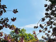 -昆山城市公园