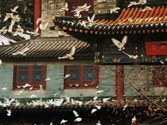 -西安大兴善寺