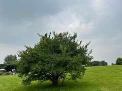 -安德鲁户外烧烤帐篷营地(马泉营店)