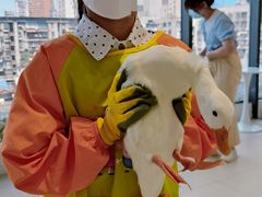 -怪兽屋·羊驼·猫咖·狗咖(俊华广场店)