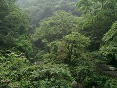 -西岭雪山大飞水景区
